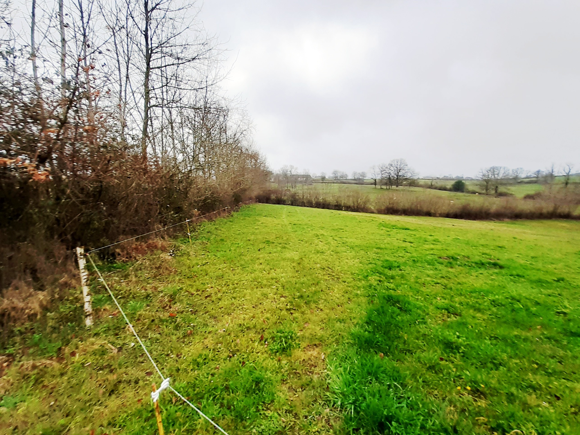 Prix Au M2 Terrain Non Constructible vente Terrain 4105 m2 constructible